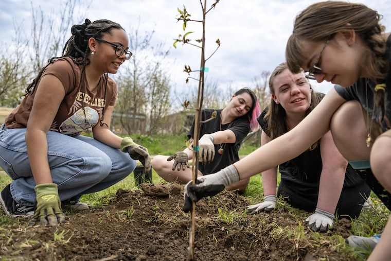 Washington College students plant a tree in the new Chaucer Garden, part of Dr. Courtney Rydel's new interdisciplinary English poetry course.